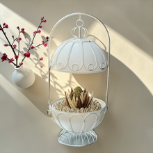 VIP Chocolate Stand with Cover | ستاند شوكليت VIP بغطاء فاخر