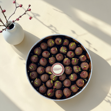 Kuwaiti Ghraybeh Chickpea Flour Box | بوكس غريبة كويتي بطحين الحمص والهيل