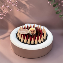 VIP Stainless Steel Platter with Assorted Belgian Chocolate 950G | E81